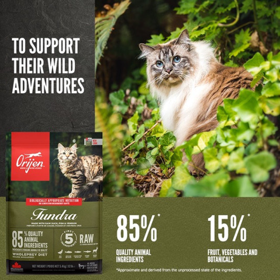 ORIJEN Tundra – hrană uscată fără cereale pentru pisici active, cu rață și pește, 5,4 kg